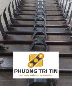 khung v long mang phuong tri tin 2